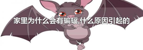 家里为什么会有蝙蝠,什么原因引起的