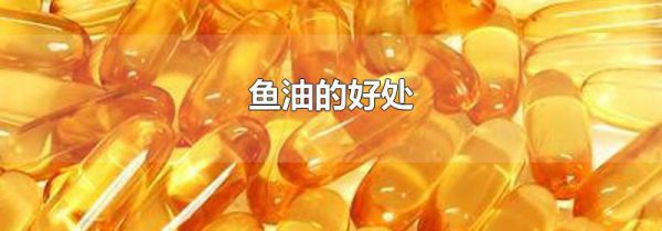 鱼油的好处