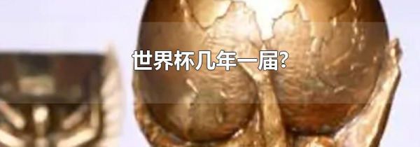 世界杯几年一届?