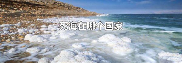 死海在哪个国家