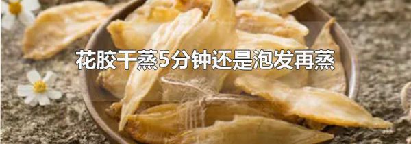 花胶干蒸5分钟还是泡发再蒸