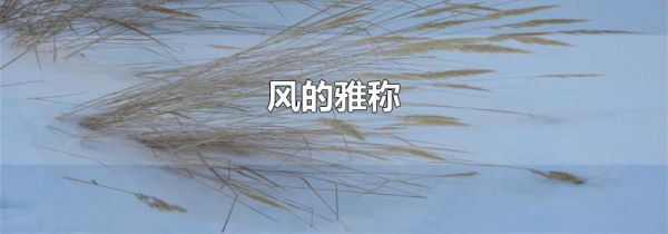 风的雅称