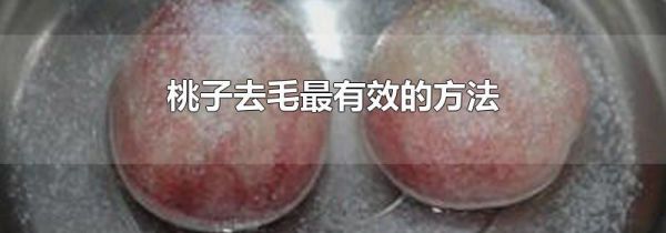 桃子去毛最有效的方法