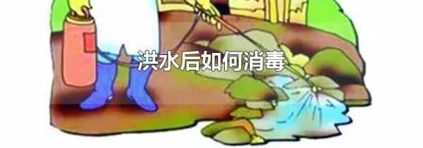 洪水后如何消毒