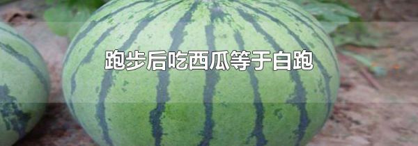 跑步后吃西瓜等于白跑