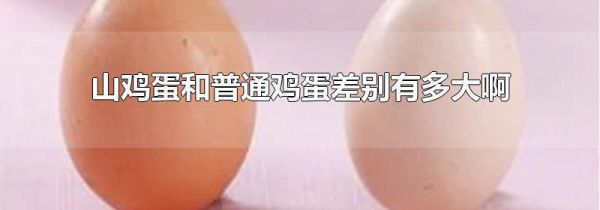 山鸡蛋和普通鸡蛋差别有多大啊