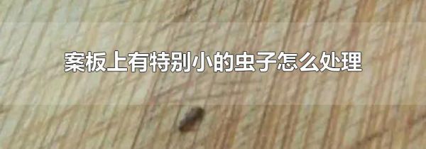 案板上有特别小的虫子怎么处理