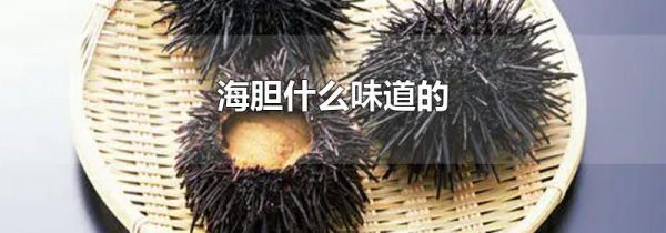 海胆什么味道的