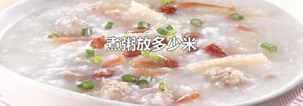 煮粥放多少米