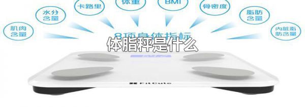 体脂秤是什么