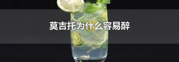 莫吉托为什么容易醉