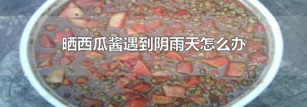 晒西瓜酱遇到阴雨天怎么办