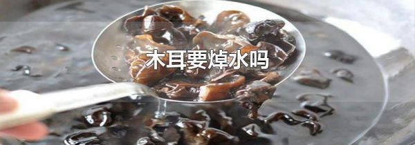 木耳要焯水吗