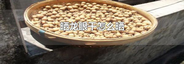 晒龙眼干怎么晒