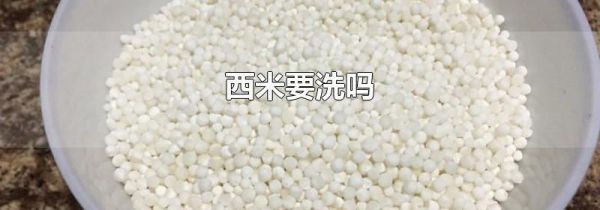 西米要洗吗