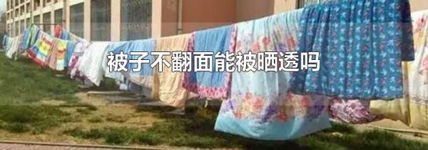 被子不翻面能被晒透吗