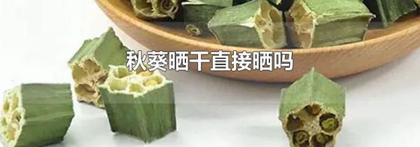 秋葵晒干直接晒吗
