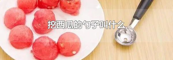挖西瓜的勺子叫什么