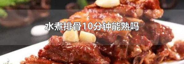 水煮排骨10分钟能熟吗