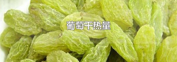 葡萄干热量