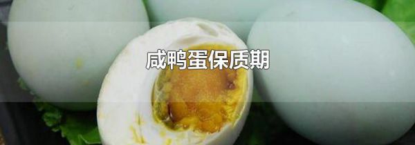 咸鸭蛋保质期