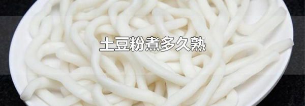 土豆粉煮多久熟