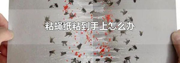 粘蝇纸粘到手上怎么办