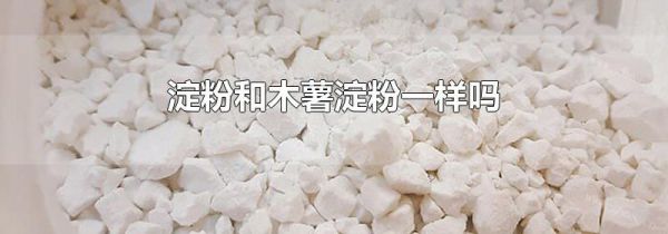 淀粉和木薯淀粉一样吗
