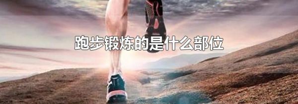 跑步锻炼的是什么部位