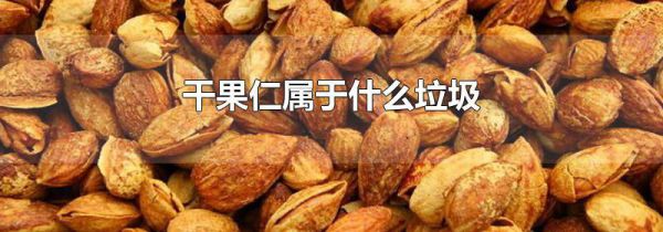 干果仁属于什么垃圾