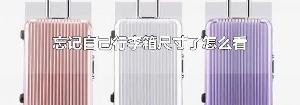 忘记自己行李箱尺寸了怎么看