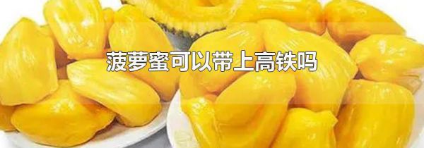 菠萝蜜可以带上高铁吗