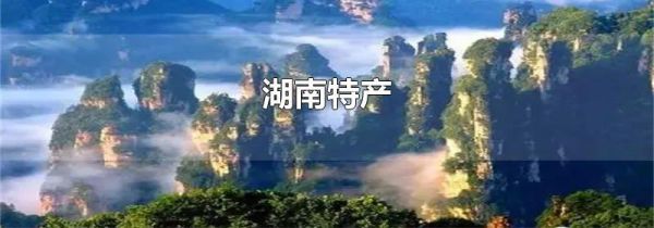 湖南特产