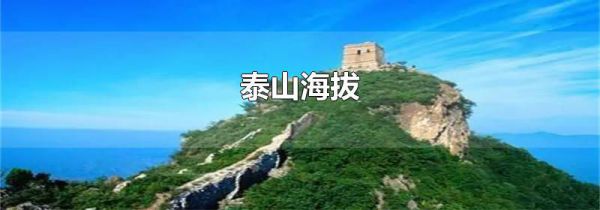 泰山海拔