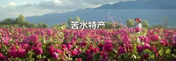 苦水特产