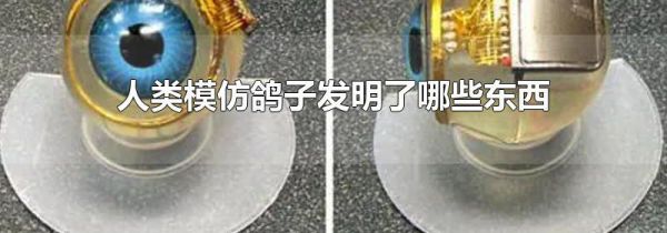 人类模仿鸽子发明了哪些东西