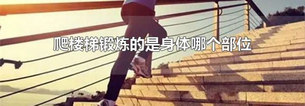 爬楼梯锻炼的是身体哪个部位