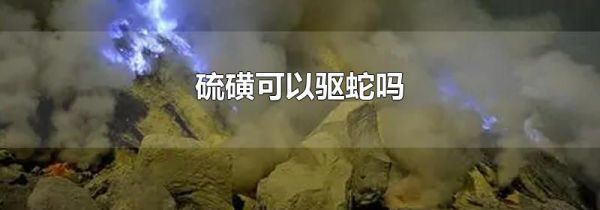 硫磺可以驱蛇吗