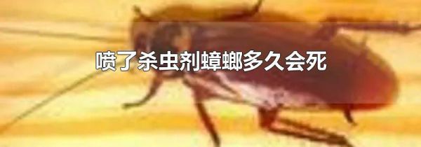 喷了杀虫剂蟑螂多久会死