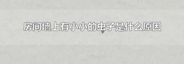 房间墙上有小小的虫子是什么原因