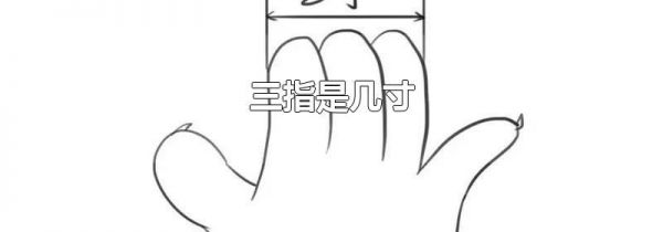 三指是几寸