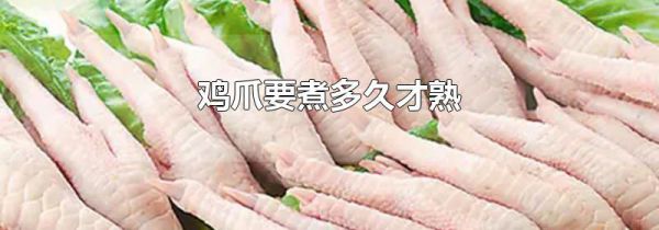 鸡爪要煮多久才熟