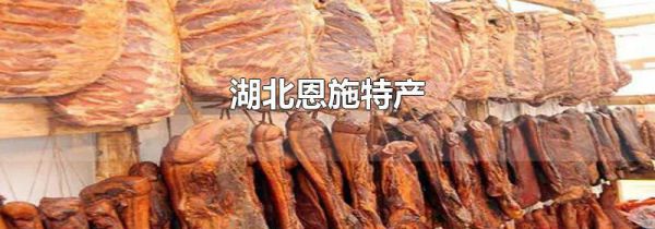 湖北恩施特产