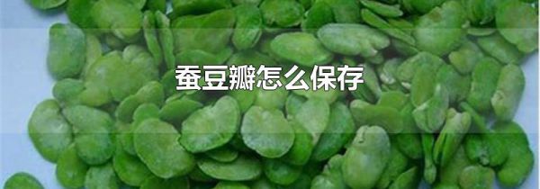 蚕豆瓣怎么保存