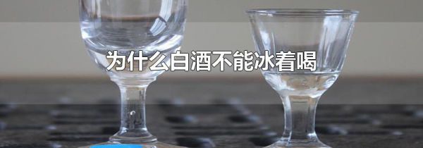 为什么白酒不能冰着喝