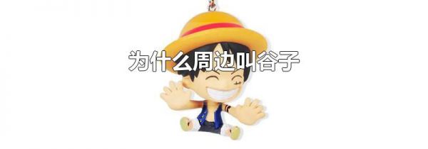 为什么周边叫谷子