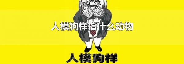 人模狗样指什么动物