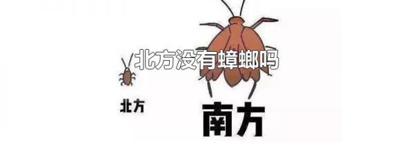 北方没有蟑螂吗
