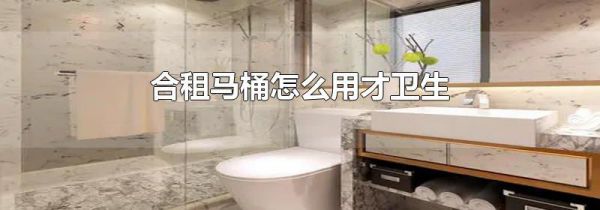 合租马桶怎么用才卫生