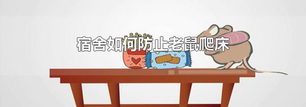 宿舍如何防止老鼠爬床